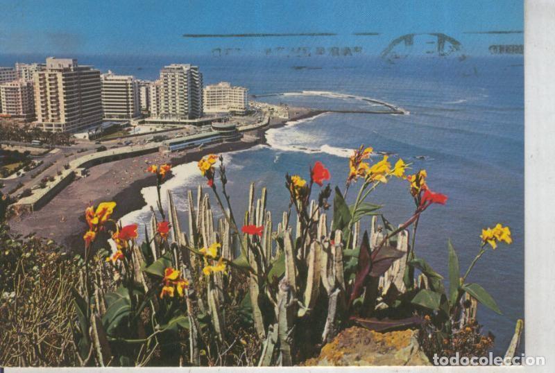 Cartoline: Postal 012253: Puerto de la Cruz, Tenerife - Varios