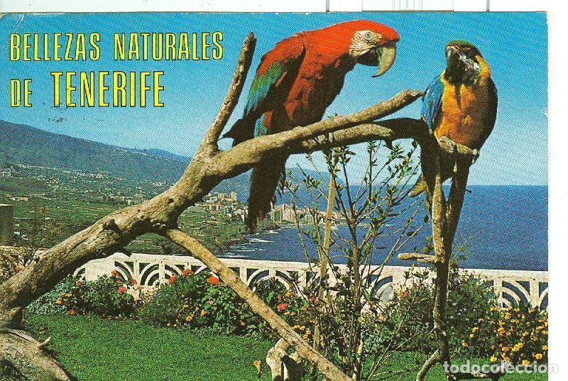 Postais: Postal 6202 : Bellezas naturales de Tenerife - Varios
