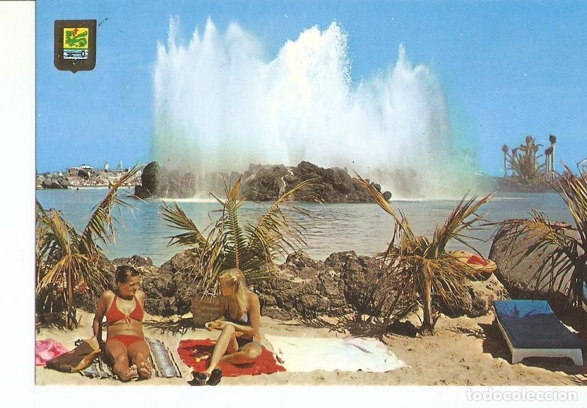 Cartes Postales: Postal 029617 : Puerto de la Cruz (Tenerife). Lago Martianez detalle - Varios