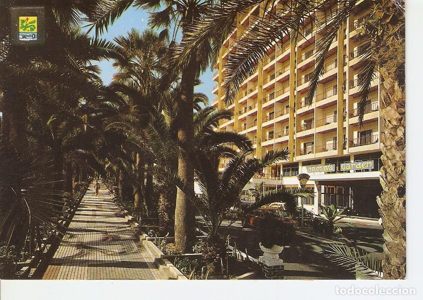Cartoline: Postal 024693 : Puerto de la Cruz (Tenerife) Paseo Martianez y Hotel Orotava Garden - Varios