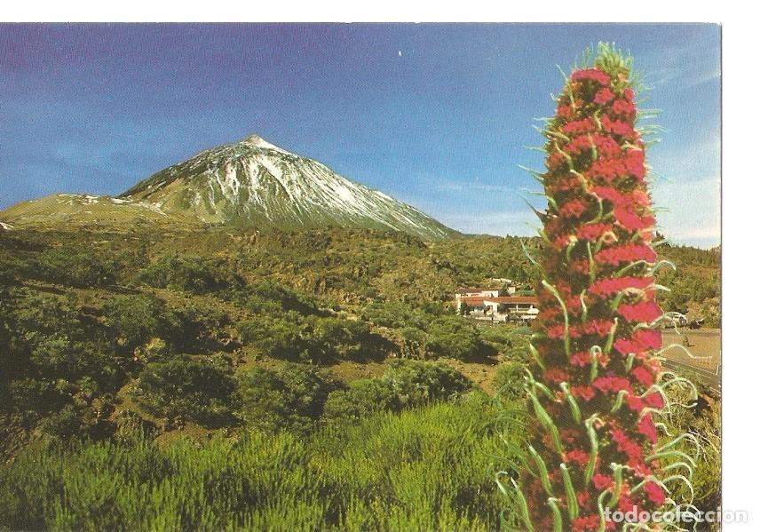 Postales: Postal 029702 : Teide (Tenerife). El Portillo y Pico al fondo - Varios