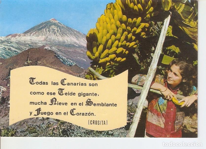Postais: Postal 030565 : Tenerife - Varios