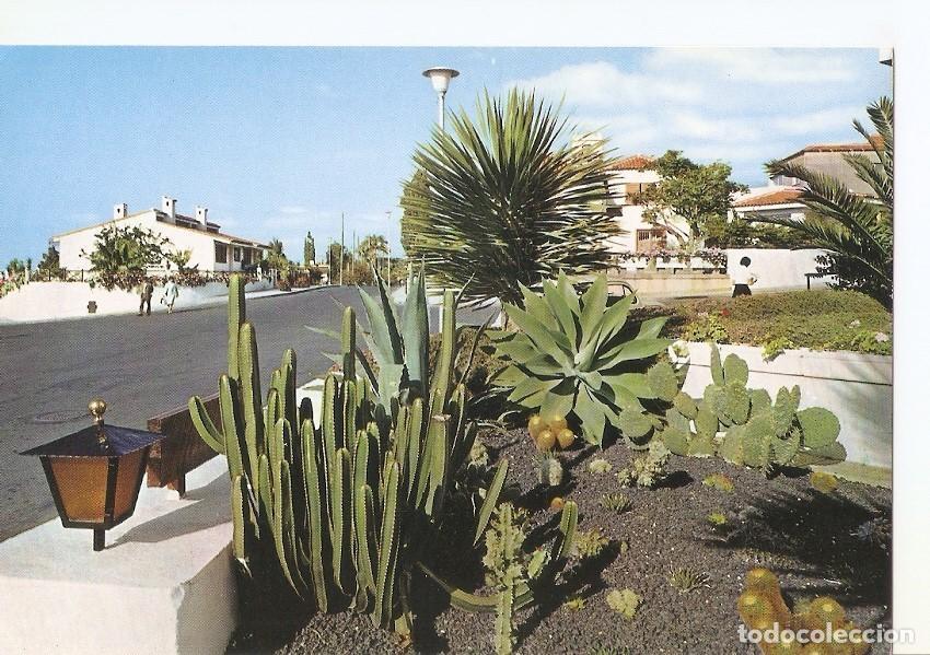 Cartoline: Postal 033252 : Puerto de la Cruz - Tenerife. Urbanizacion la Paz. Vista parcial - Varios