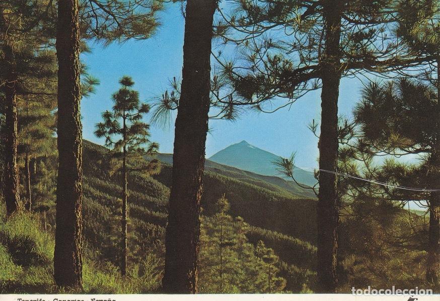 Postais: Postal 60084: El Teide al atardecer (Tenerife) - Varios