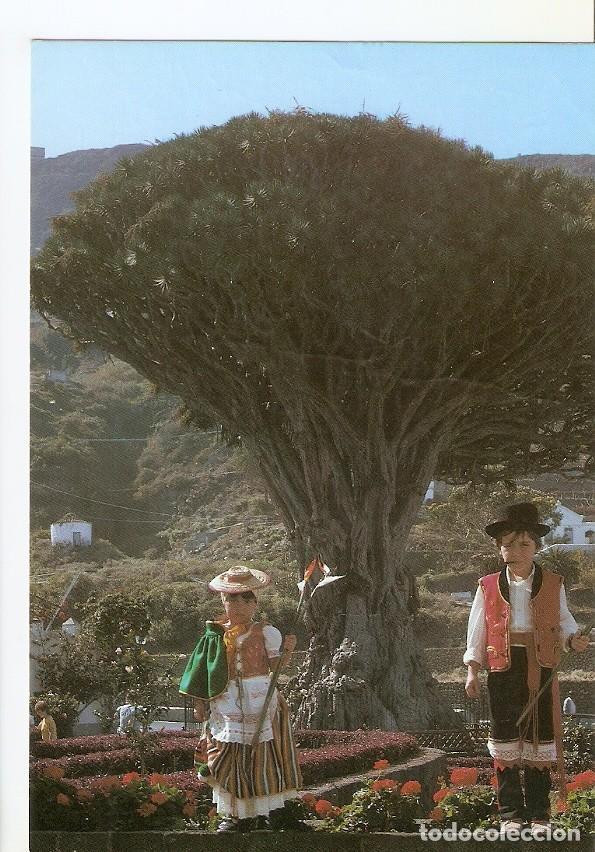 Postales: Postal 039573 : Icod de los Vinos (Tenerife). Drago Milenario - Varios