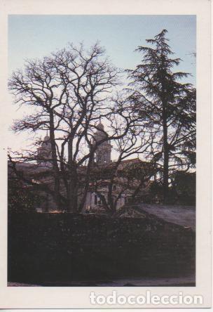 Postcards: Postal E02499: Cedro de Atlas, Pamplona, Navarra - Varios