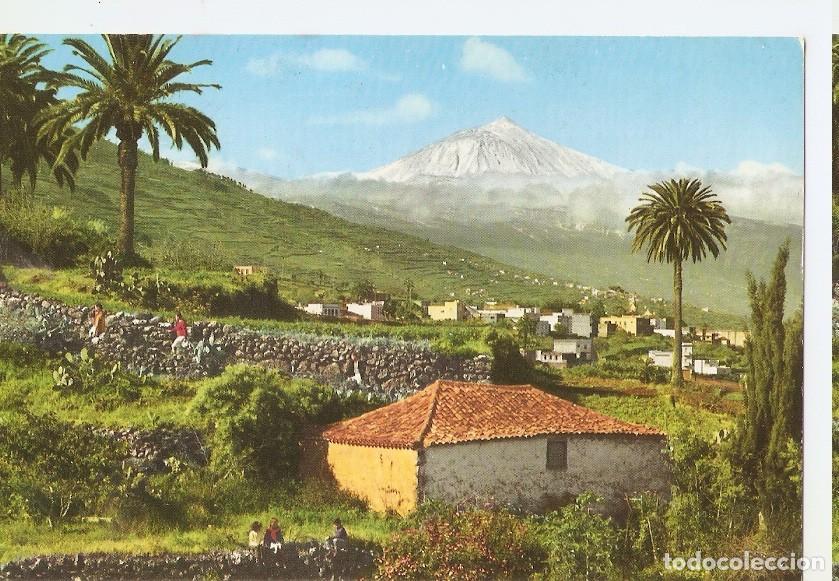 Postais: Postal 044686 : Tenerife Canary Islands - Varios
