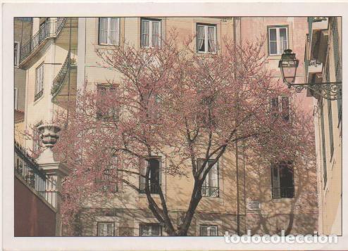 Postales: Postal E02177: La vieja Lisboa, Portugal - Varios