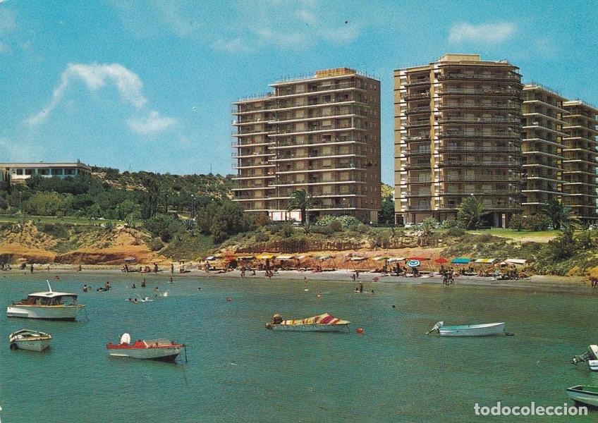 Postcards: POSTAL B8229: ALICANTE: DEHESA CAMPOAMOR - Varios