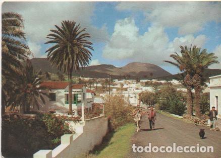 Postais: Postal E01904: Vista de Haria, Lanzarote - Varios