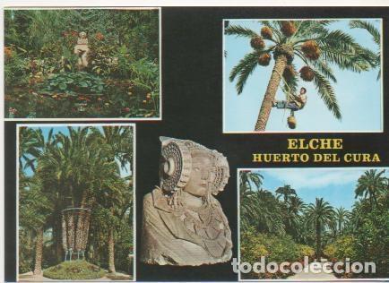 Postais: Postal E01976: Im&aacute;genes Huerto del Cura, Elche - Varios