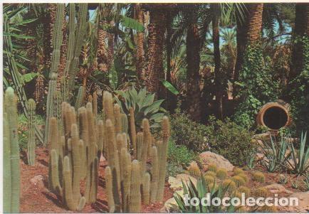 Cartoline: Postal E01977: Huerto del Cura, detalle de la Rocalla, Elche - Varios