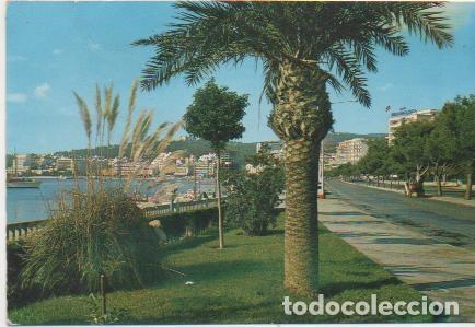 Postais: Postal E01876: Paseo Maritimo, Mallorca - Varios
