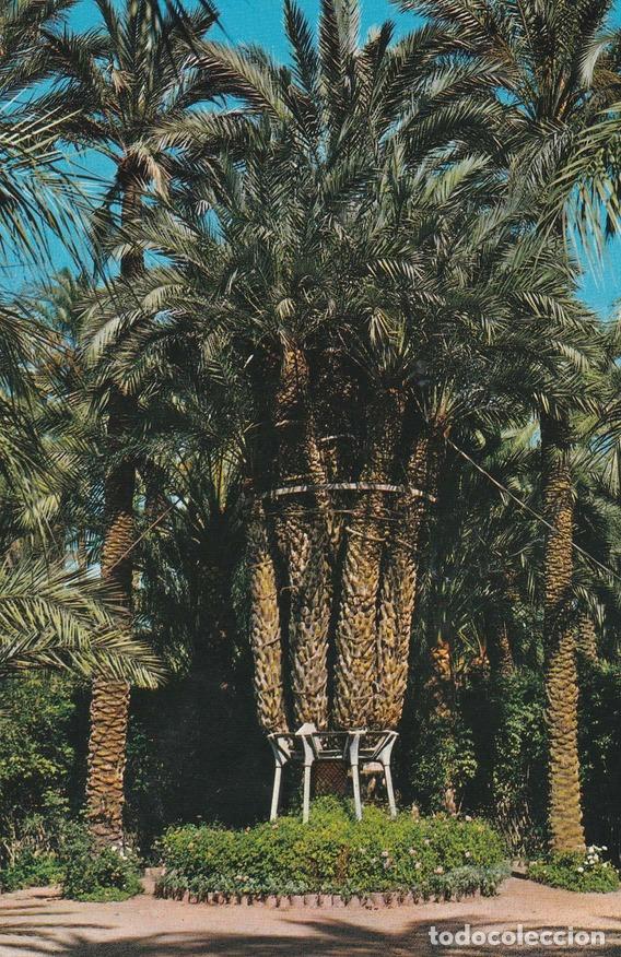 Postkarten: POSTAL B8386: ELCHE: HUERTO DEL CURA - Varios