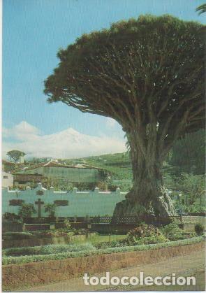 Cartes Postales: Postal E01152: Drago Milenario, Icod de los Vinos, Tenerife - Varios
