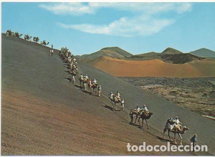 Postais: Postal E01425: Caravana de camellos, Lanzarote - Varios