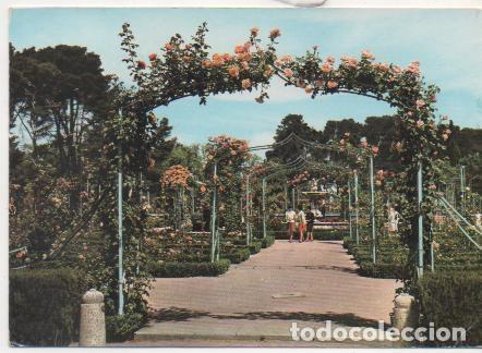Postkarten: Postal E01498: Parque del Retiro, Madrid - Varios