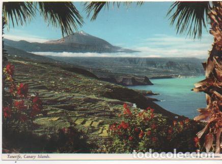 Postcards: Postal E01262: Vistas del Teide, Tenerife - Varios