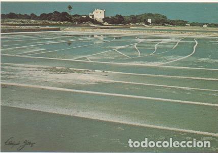 Cartes Postales: Postasl E01278: Las Salinas Ibiza/Formentera, Baleares - Varios