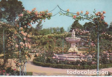 Postales: Postal E04033: Parque del Retiro.Rosaleda,Madrid - Varios