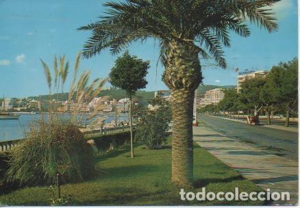 Postales: Postal E03979: Paseo Maritimo, Palma de Mallorca - Varios