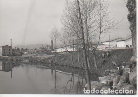Cartoline: Postal E03848: Postal B/N Vista parcial y R&iacute;o Ter, Manlleu - Varios