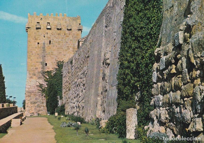 Postcards: POSTAL B9449: TARRAGONA: PASEO ARQUEOLOGICO - Varios