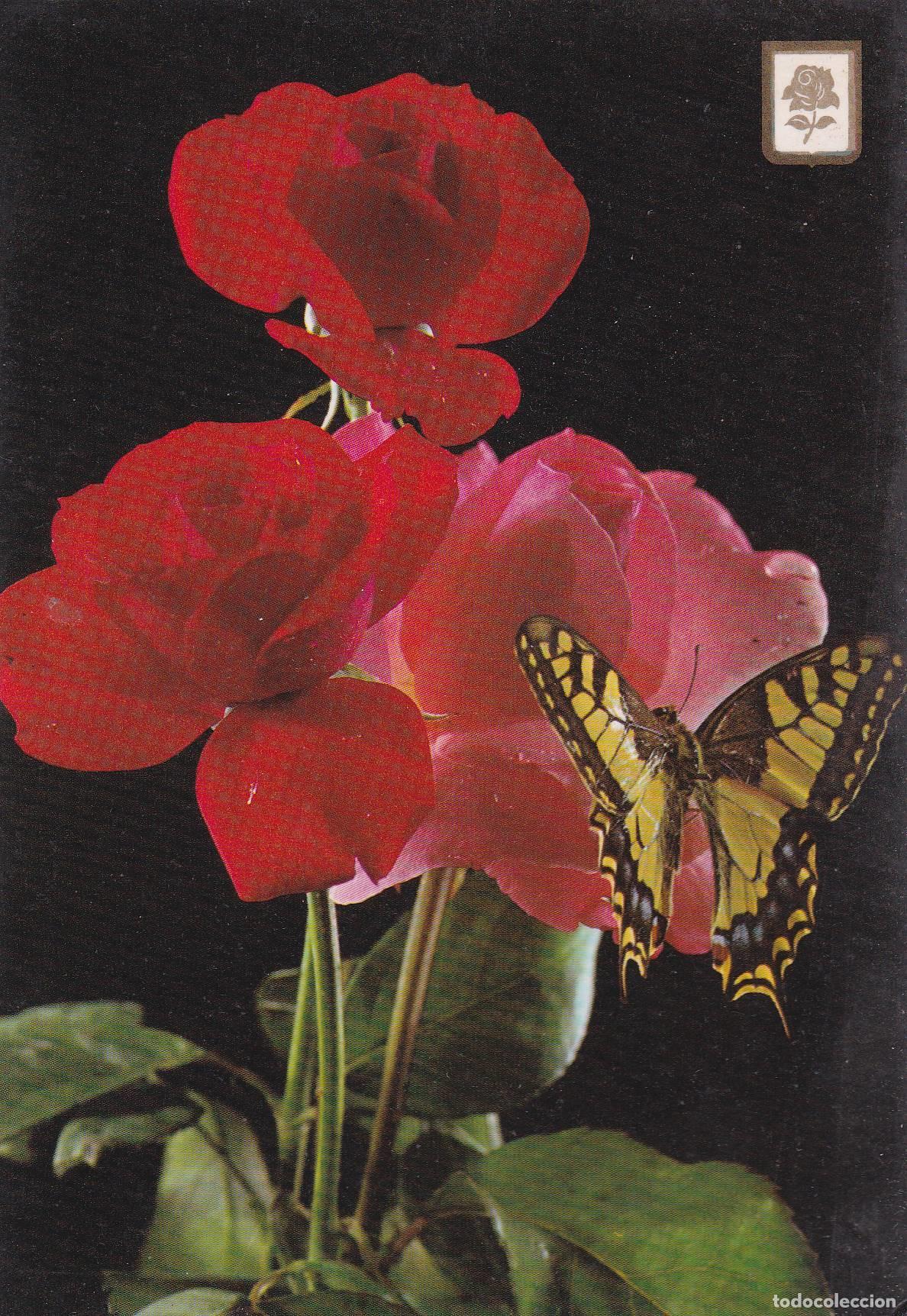 Postkarten: POSTAL B9621: ROSAS Y MARIPOSA - Varios