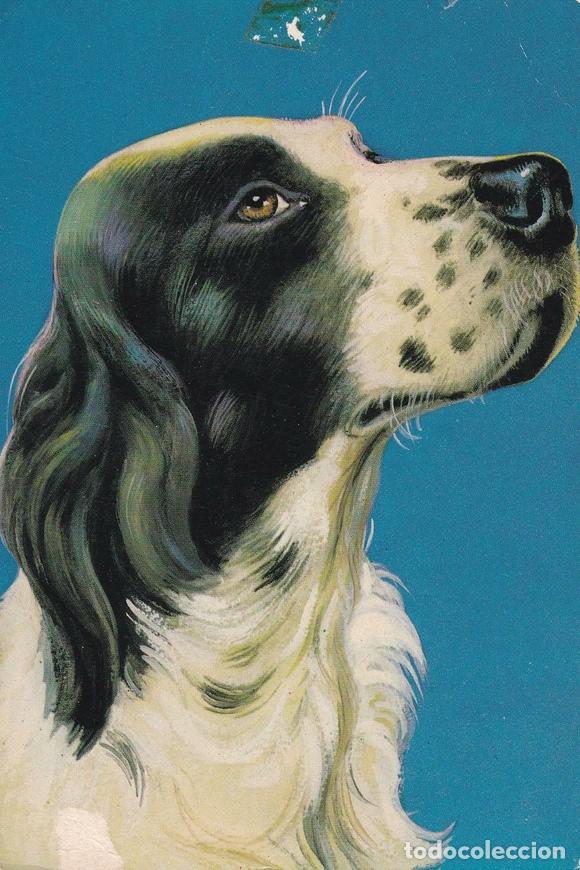 Postais: POSTAL B10041: IBIZA: CIUDAD ALTA - Varios