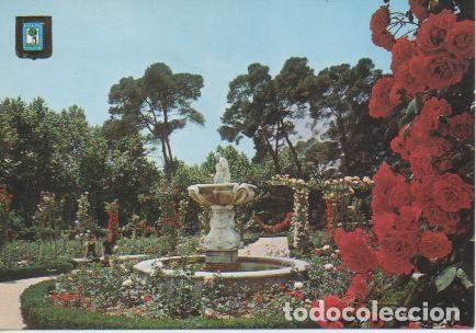 Postcards: Postal E03641: Parque del Retiro. Rosaleda, Madrid - Varios