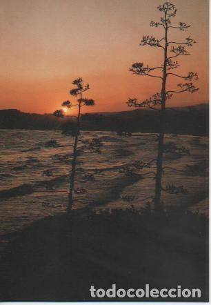 Postales: Postal E03533: Mare Nostrum, Altafulla - Varios - Foto 1