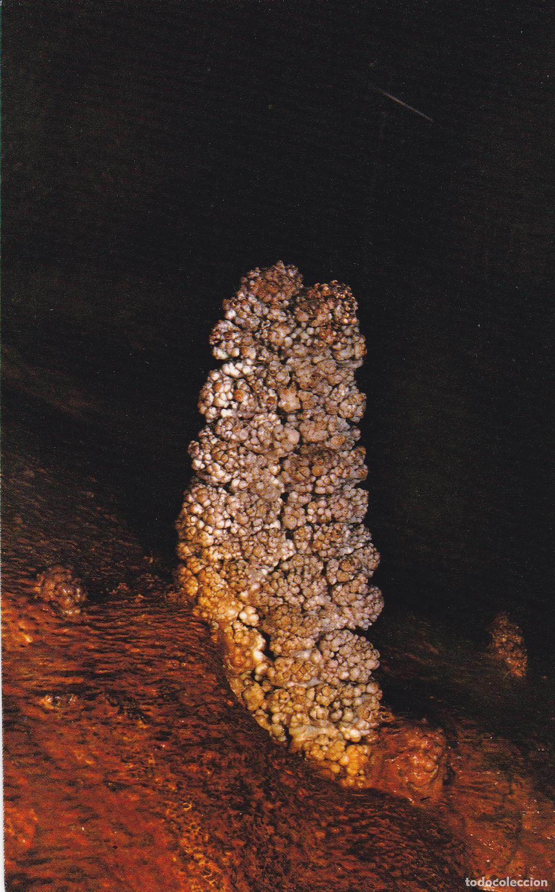 Postcards: POSTAL B10341: MALLORCA: CUEVA DE GENOVA - Varios