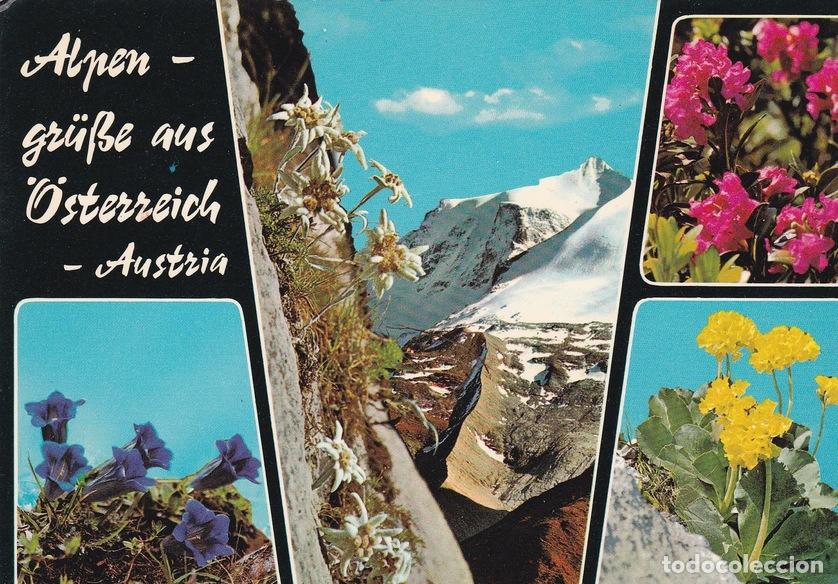 Postales: POSTAL B10487: VIENA: DIVERSOS ASPECTOS - Varios