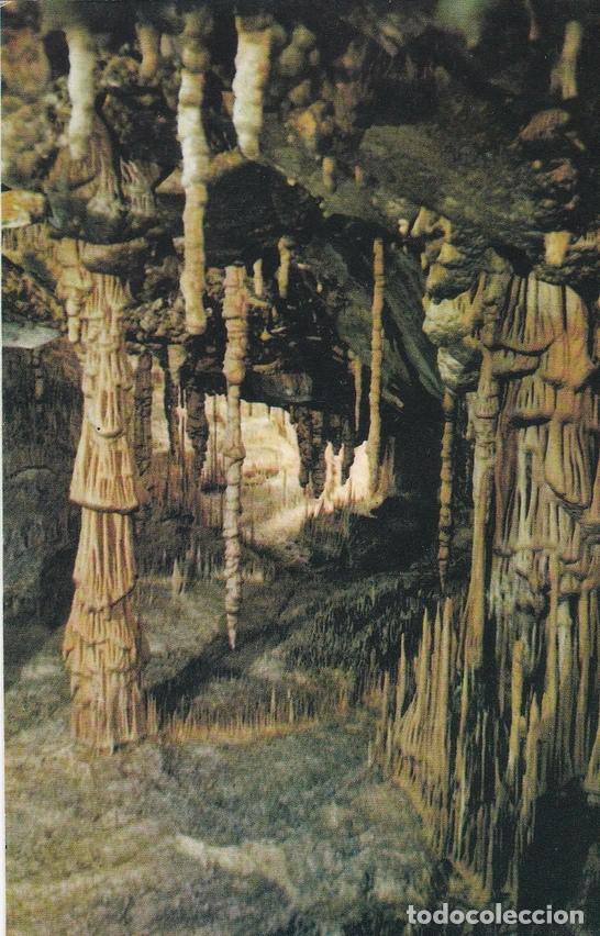 Postales: POSTAL B10644: MALLORCA: CUEVAS DEL DRACH - Varios - Foto 1