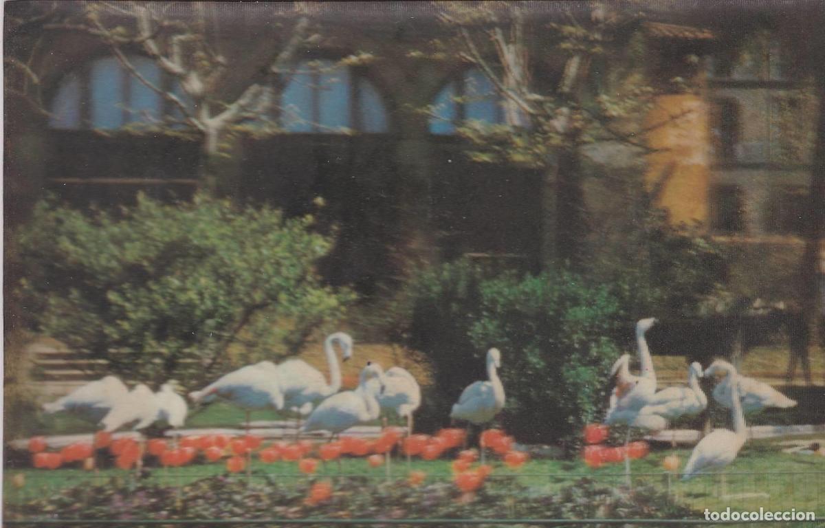 Postais: POSTAL B10690: ZOO BARCELONA: FLAMENCOS - Varios