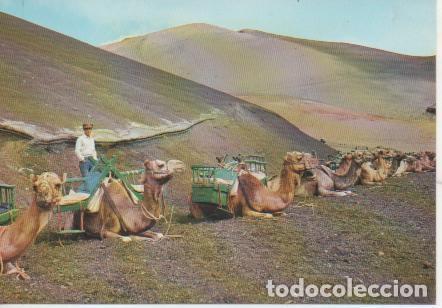 Postcards: Postal E05219: Parada de taxis de camellos para subir a la monta&ntilde;a de Fuego, Lanzarote - Varios