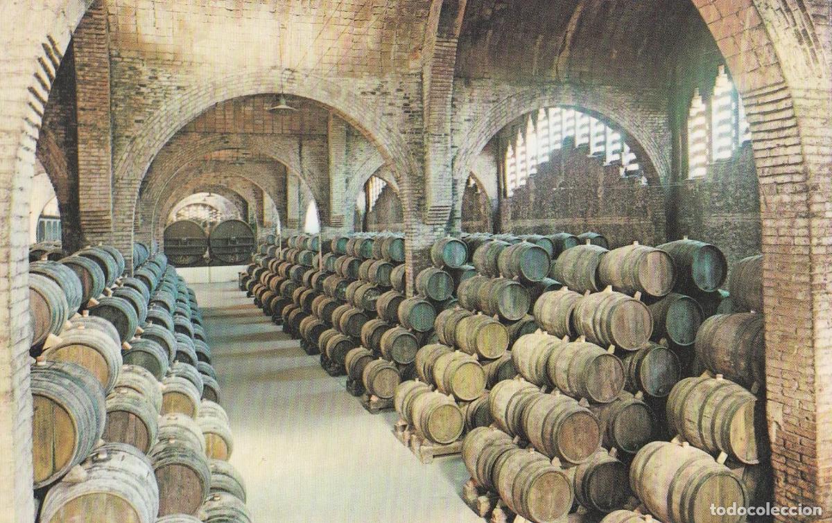 Postales: POSTAL B10716: CAVAS CODORNIU: BODEGA - Varios