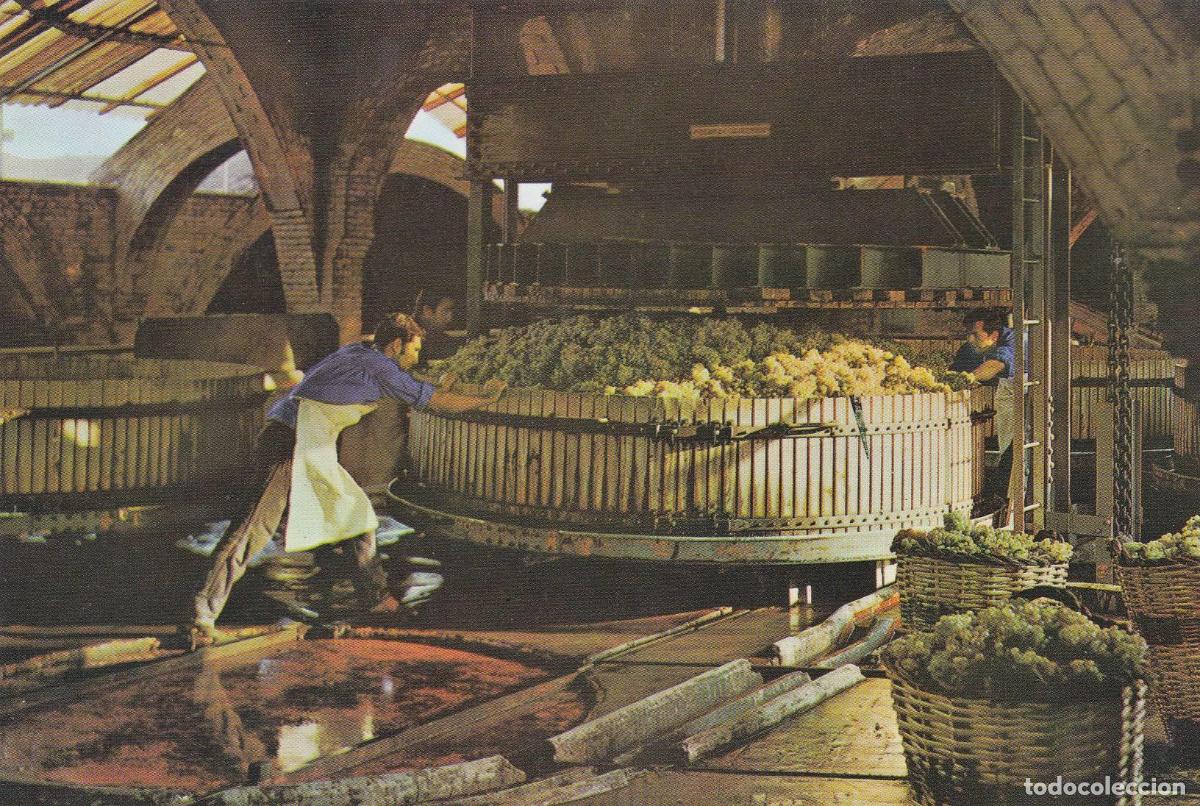 Postales: POSTAL B10739: CAVAS CODORNIU: PRESANDO LA UVA - Varios