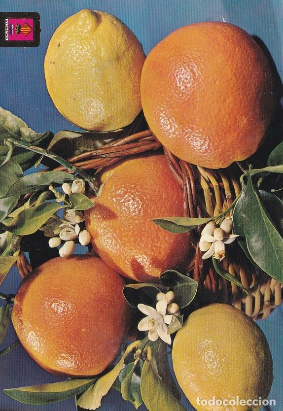 Postkarten: POSTAL B10745: VALENCIA: NARANJAS Y LIMONES - Varios