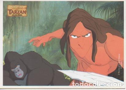 Cartes Postales: Postal E06579: Postal pel&iacute;cula Tarz&aacute;n - Varios
