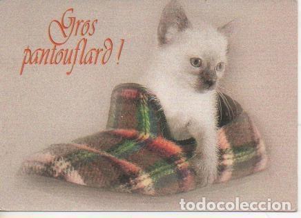 Postales: Postal E06417: Gros pantouflard - Varios - Foto 1