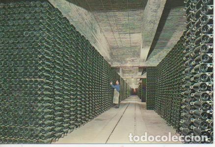 Postales: Postal E05769: Botellas envejeciendo. Cavas Codorniu <acorde&oacute;n> - Varios