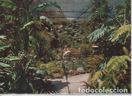 Postales: Postal E05847: Jardins da Estufa Fria- Lisboa. Portugal <acorde&oacute;n> - Varios