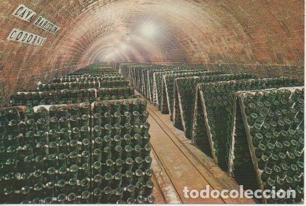 Postales: Postal E05790: Botellas en pupitre.Cava Codorniu <acorde&oacute;n> - Varios