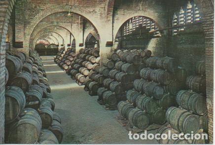 Postales: Postal E05767: Una bodega.Cavas Codorniu <acorde&oacute;n> - Varios