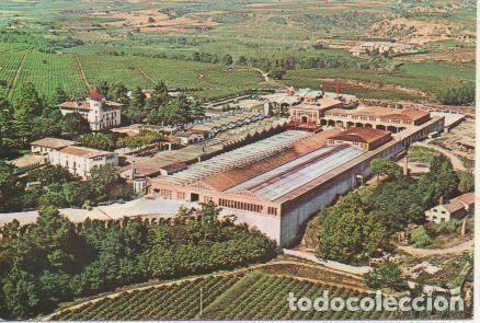 Postales: Postal E05768: Exteriores.Cavas Codorniu <acorde&oacute;n> - Varios