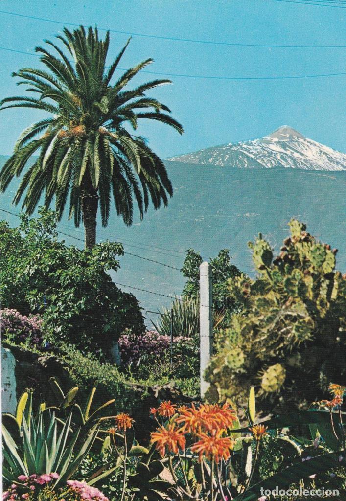 Postales: POSTAL B11724: TENERIFE: PUERTO DE LA CRUZ - NULL