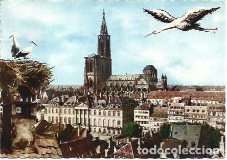 Postkarten: POSTAL L00550: Vista de Estrasburgo - NULL