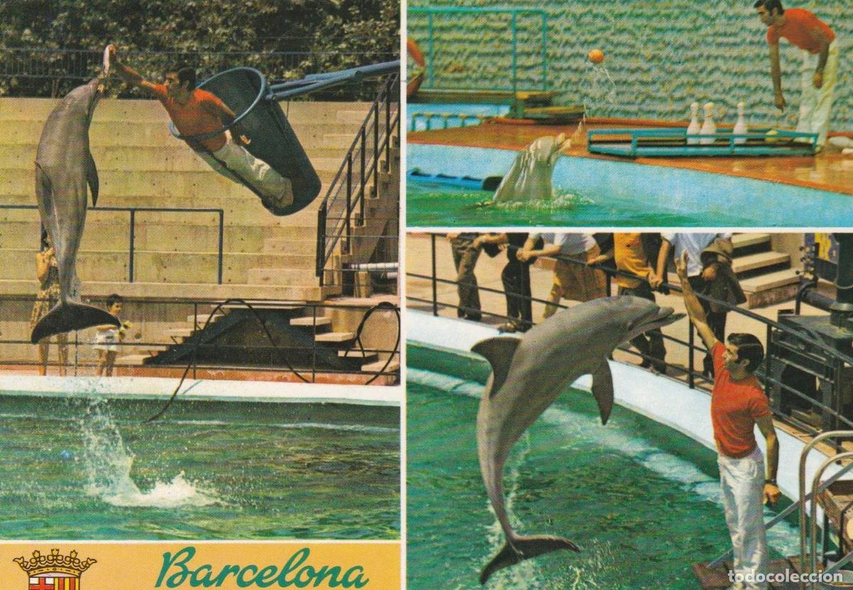 Cartoline: POSTAL B12132: BARCELONA: PARQUE ZOOLOGICO - NULL