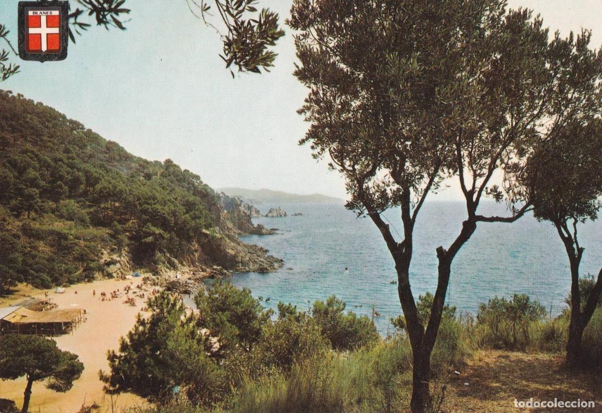 Postais: POSTAL B12087: COSTA BRAVA. BLANES: CALA SAN FRANCISCO - NULL